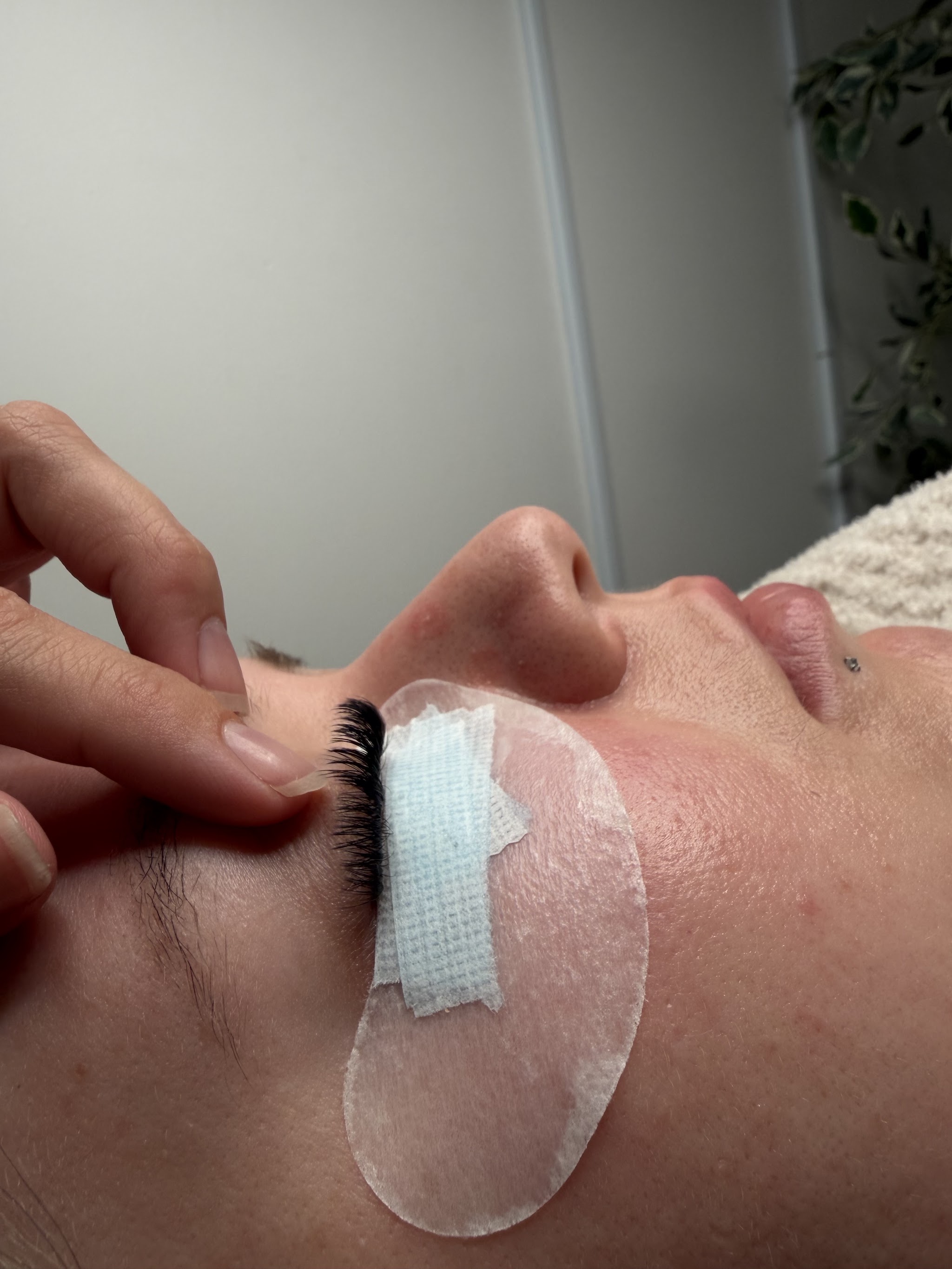 Lash extensions being applied, close up